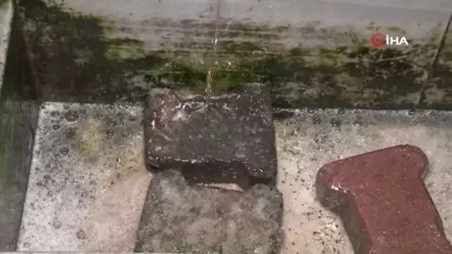 İstanbul'da kaçak kurban kesimi çeşmeden kan akıttı