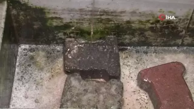 İstanbul'da kaçak kurban kesimi çeşmeden kan akıttı