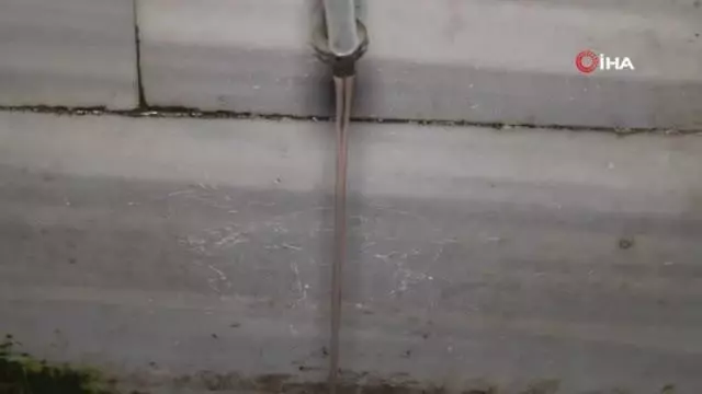 İstanbul'da kaçak kurban kesimi çeşmeden kan akıttı