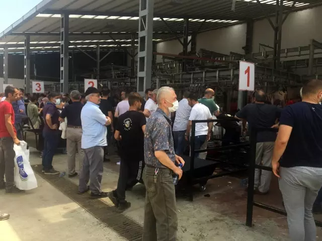 İstanbul'da kurban kesim alanlarına sıkı denetim İstanbul'da kurban kesim alanlarına sıkı denetim