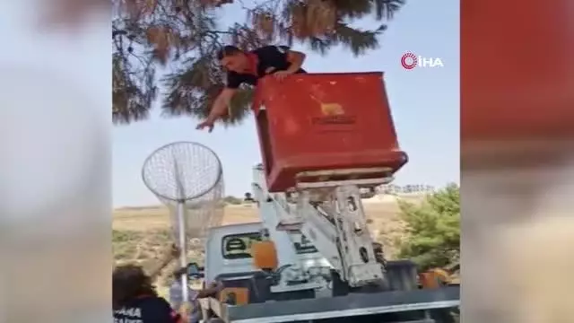 İtfaiye ekipleri leyleği kurtarıp su içirerek doğaya bıraktı