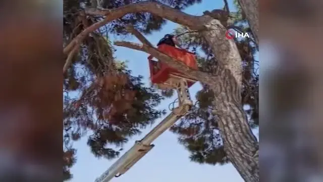 İtfaiye ekipleri leyleği kurtarıp su içirerek doğaya bıraktı