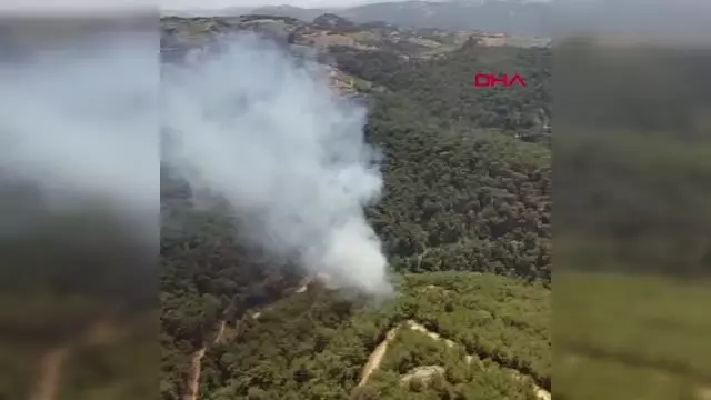 Son dakika haberi: İZMİR'DE ORMAN YANGINI Son dakika haberi: İZMİR'DE ORMAN YANGINI