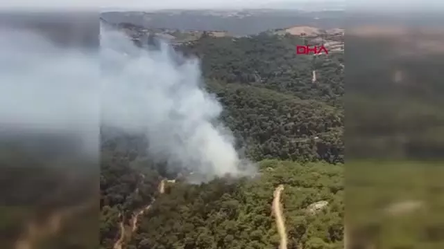 Son dakika haberi: İZMİR'DE ORMAN YANGINI