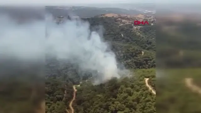 Son dakika haberi: İZMİR'DE ORMAN YANGINI