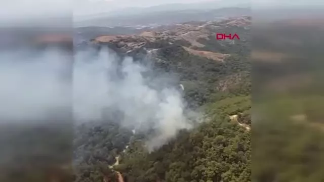Son dakika haberi: İZMİR'DE ORMAN YANGINI