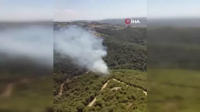 Son dakika haber... İzmir'de ormanlık alanda yangın Son dakika haber... İzmir'de ormanlık alanda yangın