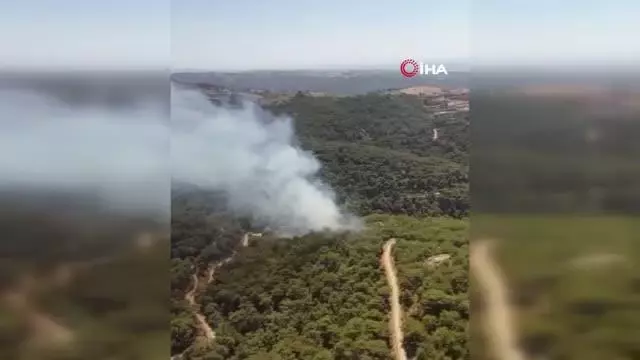 Son dakika haber... İzmir'de ormanlık alanda yangın