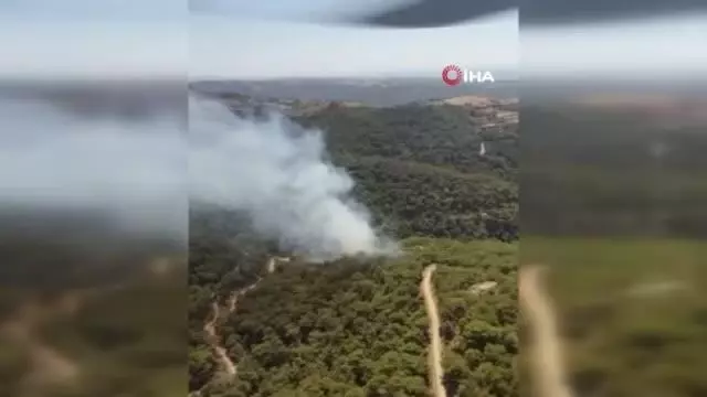 İzmir'de ormanlık alanda yangın