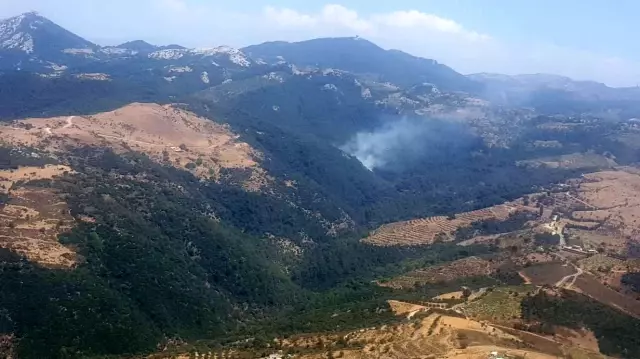 İzmir'de ormanlık alanda yangın