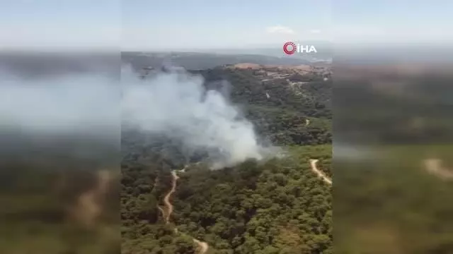 Son dakika haber... İzmir'de ormanlık alanda yangın