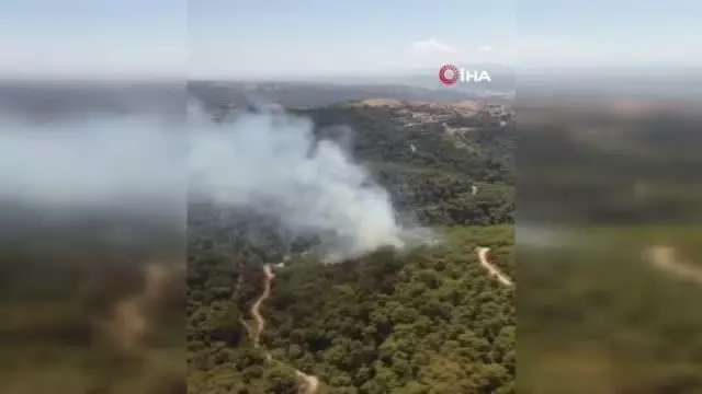 İzmir'de ormanlık alanda yangın