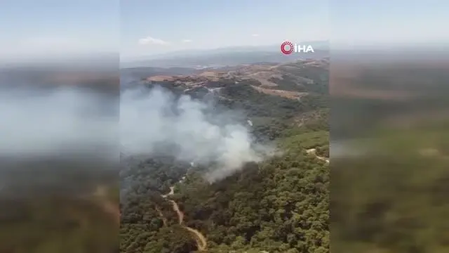 Son dakika haber... İzmir'de ormanlık alanda yangın