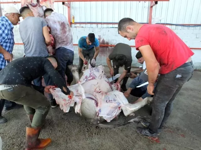 Kadın kasaplar erkeklere taş çıkarttı