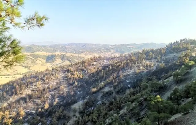 Son dakika... Kahramanmaraş'taki orman yangınında 50 hektar alan zarar gördü Son dakika... Kahramanmaraş'taki orman yangınında 50 hektar alan zarar gördü