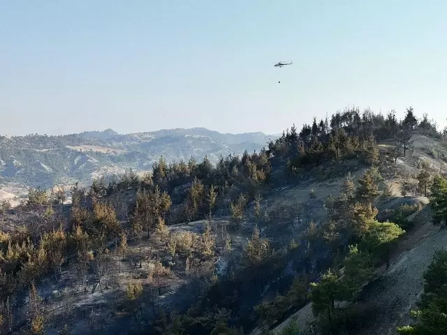 Son dakika... Kahramanmaraş'taki orman yangınında 50 hektar alan zarar gördü