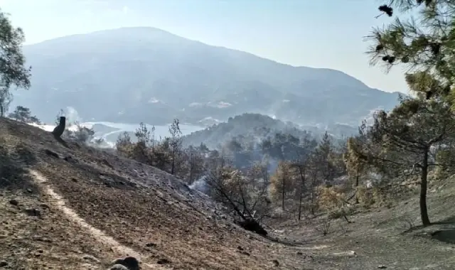 Son dakika... Kahramanmaraş'taki orman yangınında 50 hektar alan zarar gördü