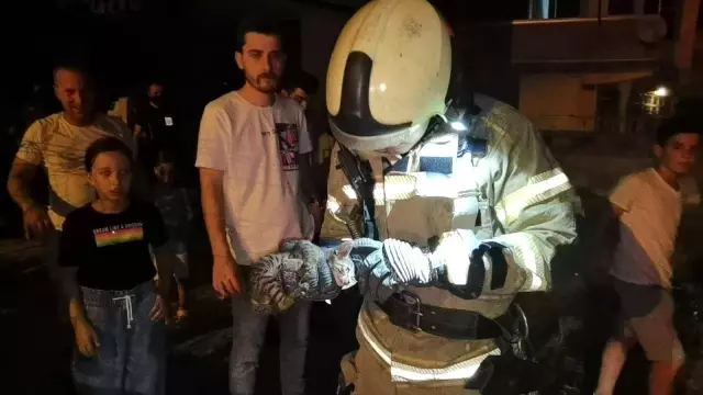 Son dakika haberi! Kapı arasına sıkışan yavru kediyi itfaiye kurtardı Son dakika haberi! Kapı arasına sıkışan yavru kediyi itfaiye kurtardı