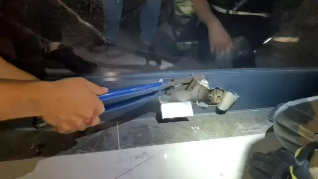 Son dakika haberi! Kapı arasına sıkışan yavru kediyi itfaiye kurtardı