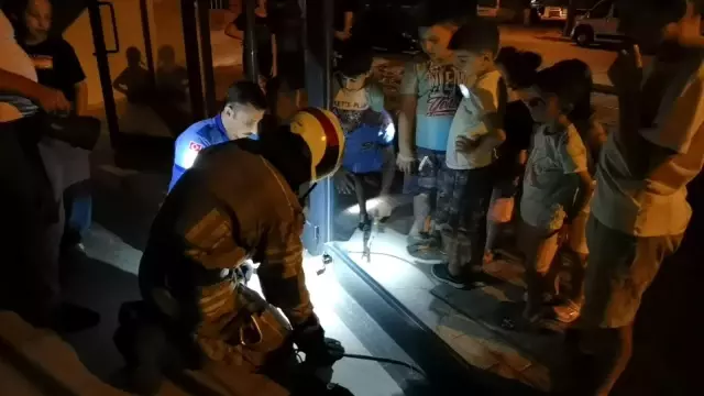 Son dakika haberi! Kapı arasına sıkışan yavru kediyi itfaiye kurtardı