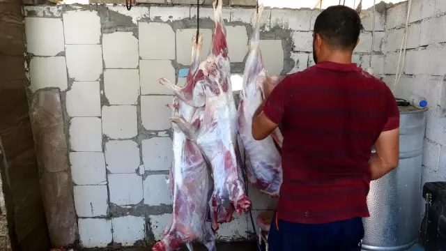 Kestikleri 1 ton kurbanı 400 aileye dağıttılar