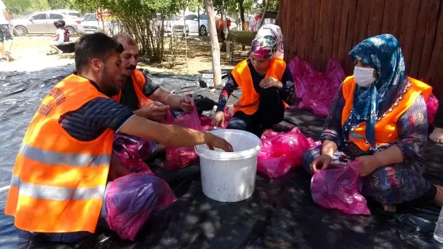 Kestikleri 1 ton kurbanı 400 aileye dağıttılar