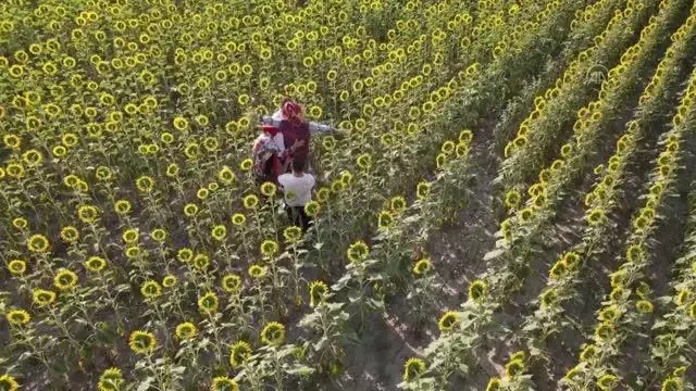 KIRKLARELİ - Kuştepeliler korkuluk festivaline hazırlanıyor