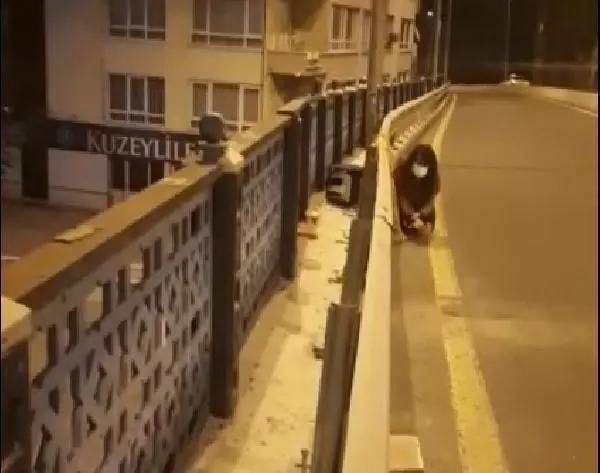 Köprüde mahsur kalan kediyi canını tehlikeye atarak kurtardı Köprüde mahsur kalan kediyi canını tehlikeye atarak kurtardı