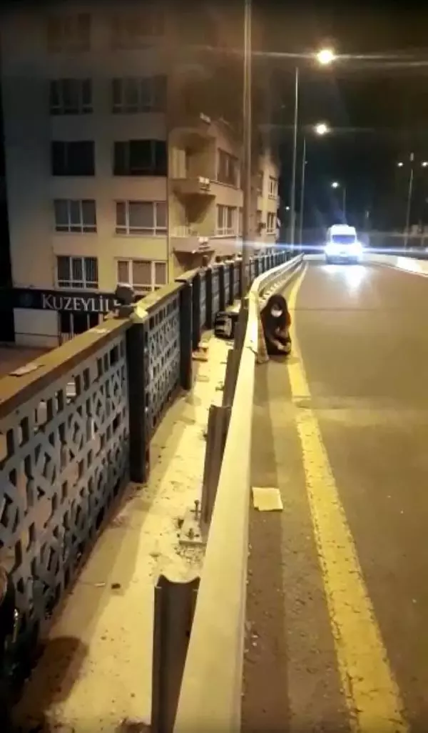 Köprüde mahsur kalan kediyi canını tehlikeye atarak kurtardı