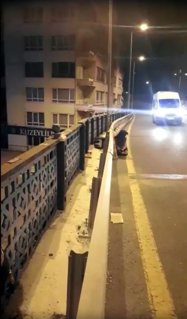 Köprüde mahsur kalan kediyi canını tehlikeye atarak kurtardı