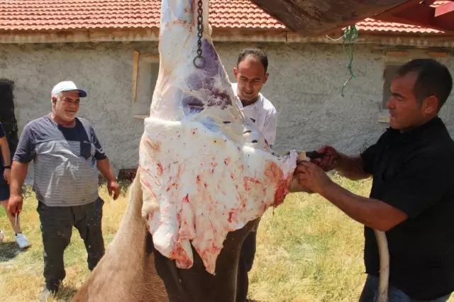 Köy halkından herkese örnek olacak kurban kesimi 2 Köy halkından herkese örnek olacak kurban kesimi