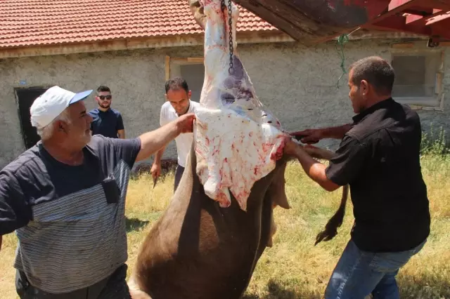 Köy halkından herkese örnek olacak kurban kesimi 3 Köy halkından herkese örnek olacak kurban kesimi