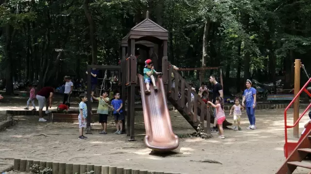 Kurban Bayramı'nın ikinci gününde vatandaşlar Belgrad Ormanı akın etti