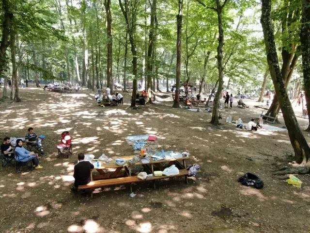 Kurban Bayramı'nın ikinci gününde vatandaşlar Belgrad Ormanı akın etti