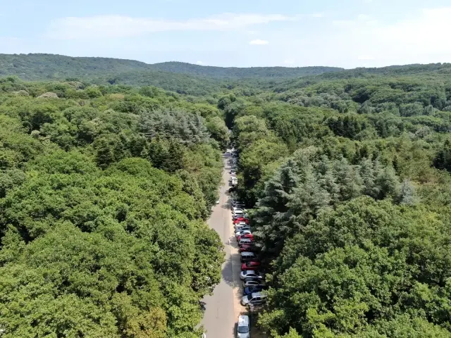 Kurban Bayramı'nın ikinci gününde vatandaşlar Belgrad Ormanı akın etti