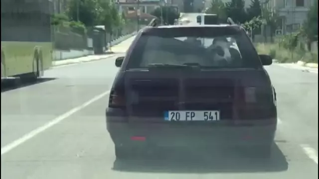 Kurbanlık koyunu otomobil bagajında böyle taşıdı