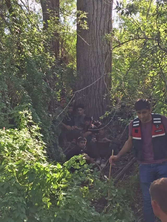 Malatya'da şarampole devrilen yolcu otobüsündeki 5 kişi yaralandı Malatya'da şarampole devrilen yolcu otobüsündeki 5 kişi yaralandı