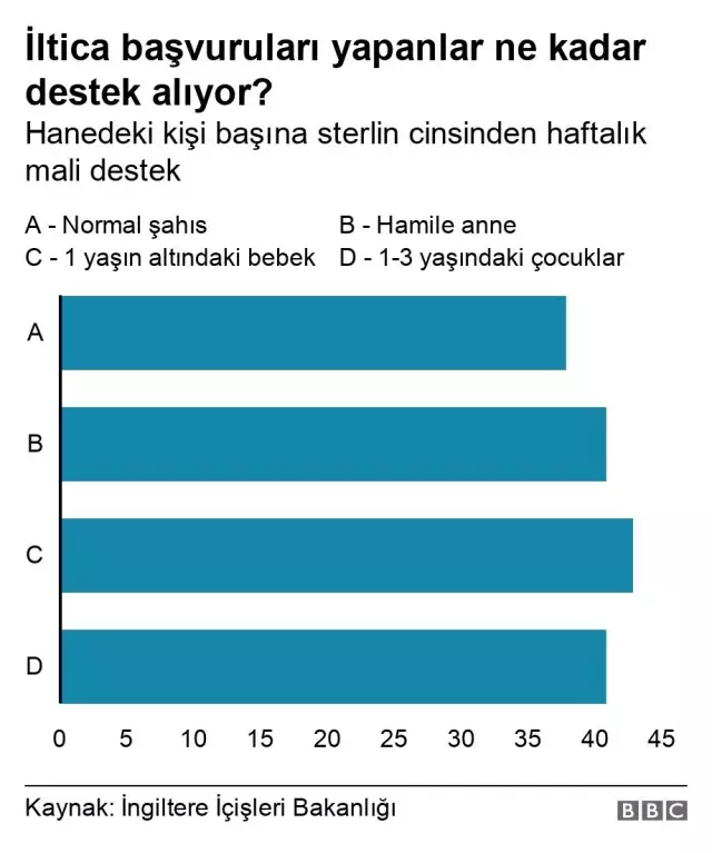 Manş Denizi'ni geçerek İngiltere'ye ulaşan göçmenlerin akıbeti ne olacak?