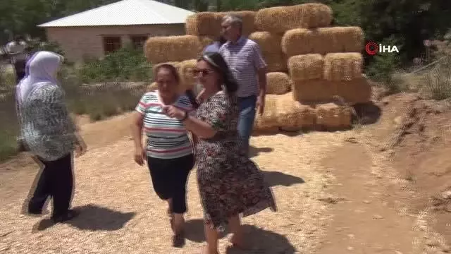 Mersin'in ilk lavanta bahçesi yoğun ilgi görüyor