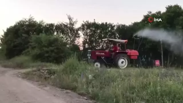 Muhtar köyü sineklere karşı ilaçlıyor
