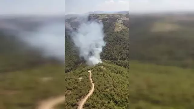 Son dakika haberleri: Orman yangını kontrol altına alındı (2)