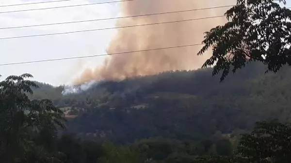 Osmaniye'de orman yangını (1) Osmaniye'de orman yangını (1)