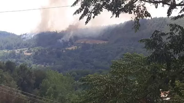 Osmaniye'de orman yangını (1)