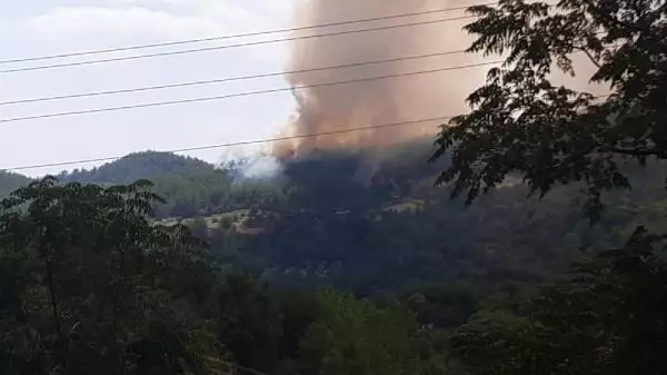 Osmaniye'de orman yangını (1)