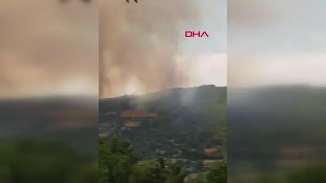 OSMANİYE'DE ORMAN YANGINI OSMANİYE'DE ORMAN YANGINI