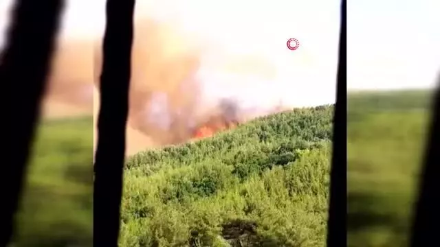 Osmaniye'de orman yangını Osmaniye'de orman yangını