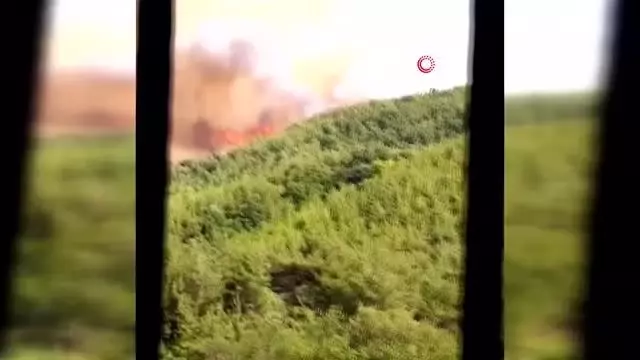 Osmaniye'de orman yangını