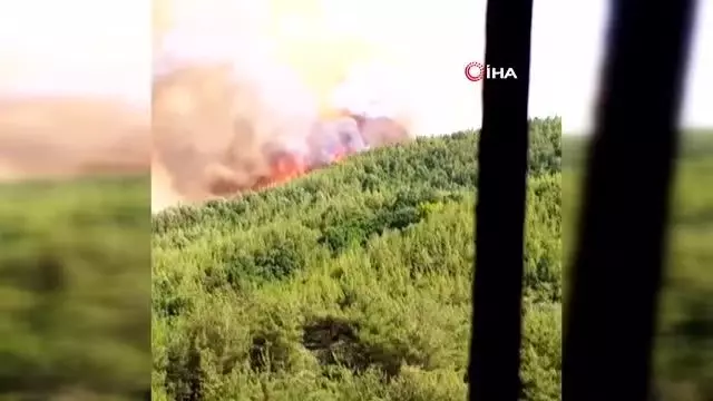 Osmaniye'de orman yangını
