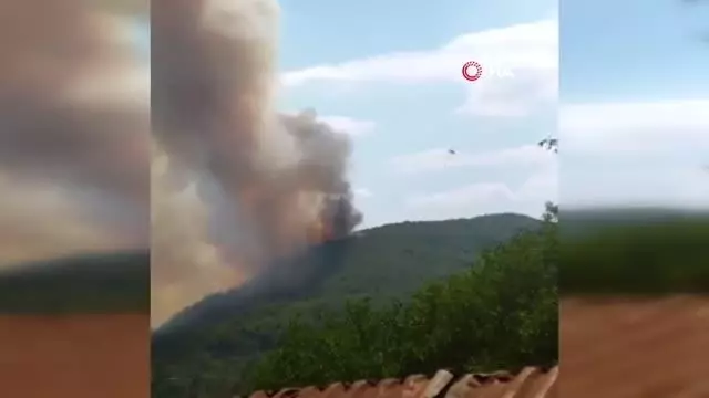 Osmaniye'de orman yangını