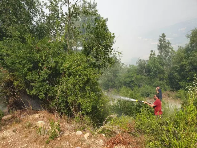 Osmaniye'deki orman yangını kontrol altına alındı